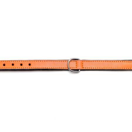 Collar piel acolchado para perros de la marca Gloria  30 cms y con 15 mm. Naranja