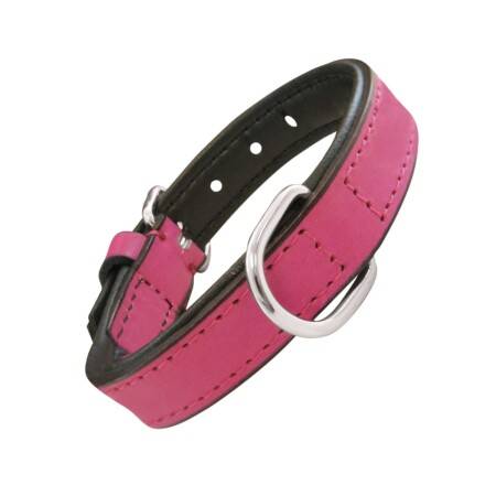 Collar piel acolchado para perros de la marca Gloria  55 cms y con 25 mm. Rosa