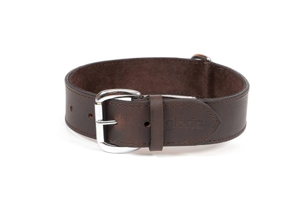 Collar liso marrón para perros de la marca Gloria  65 cms y con 40 mm.