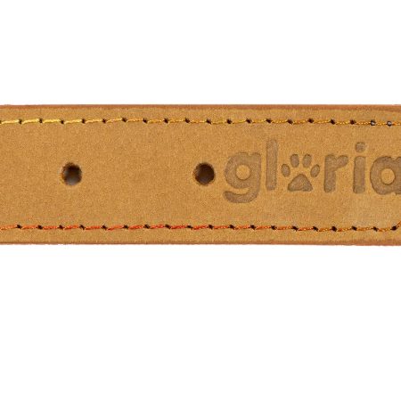 Collar de piel nobuk para perros de la marca Gloria  50 cms y con 21 mm. Amarillo