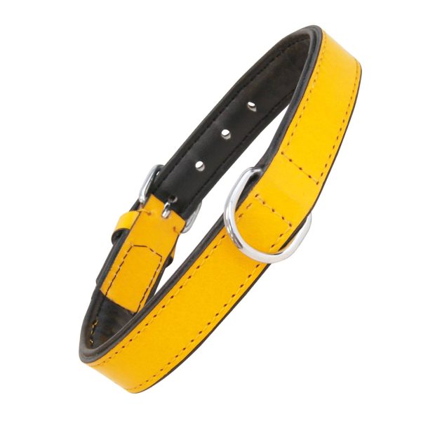Collar piel acolchado para perros de la marca Gloria  55 cms y con 25 mm. Amarillo