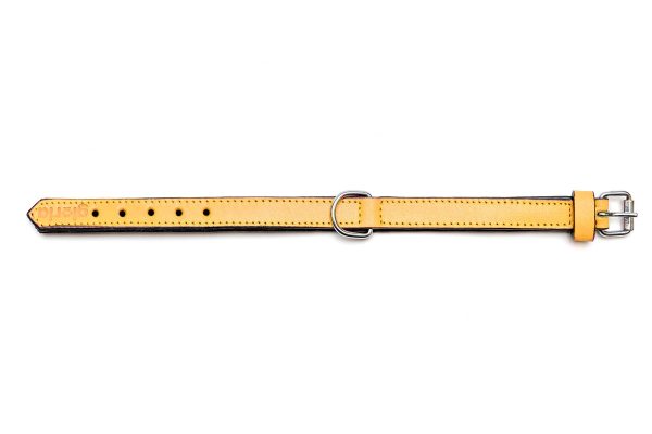 Collar piel acolchado para perros de la marca Gloria  55 cms y con 25 mm. Amarillo - Imagen 2