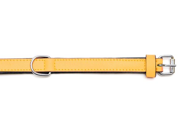 Collar piel acolchado para perros de la marca Gloria  55 cms y con 25 mm. Amarillo - Imagen 3