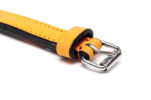 Collar piel acolchado para perros de la marca Gloria  55 cms y con 25 mm. Amarillo - Imagen 4