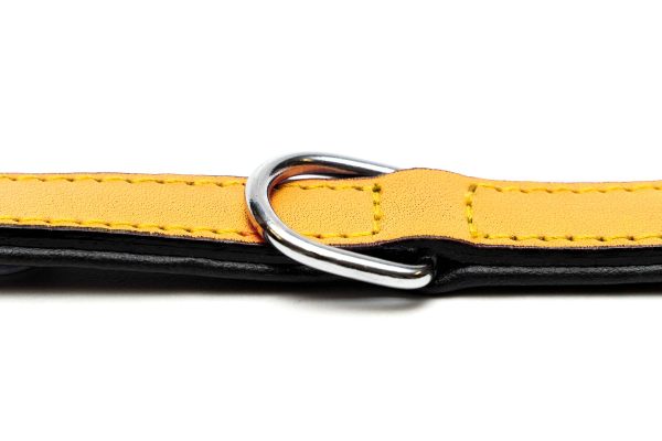 Collar piel acolchado para perros de la marca Gloria  55 cms y con 25 mm. Amarillo - Imagen 5