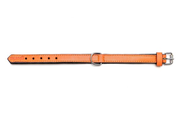 Collar piel acolchado para perros de la marca Gloria  55 cms y con 25 mm. Naranja - Imagen 2