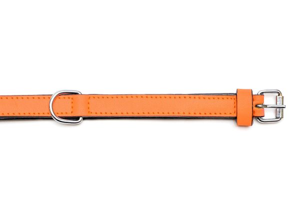 Collar piel acolchado para perros de la marca Gloria  55 cms y con 25 mm. Naranja - Imagen 3