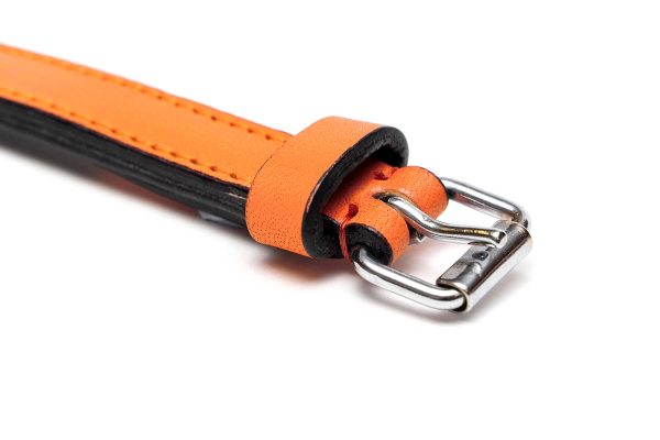 Collar piel acolchado para perros de la marca Gloria  55 cms y con 25 mm. Naranja - Imagen 4