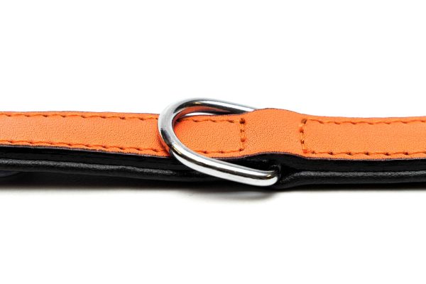 Collar piel acolchado para perros de la marca Gloria  55 cms y con 25 mm. Naranja - Imagen 5