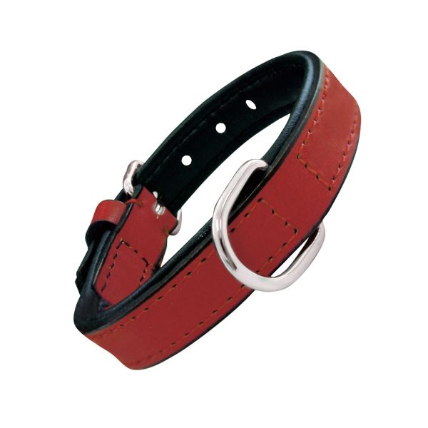 Collar piel acolchado para perros de la marca Gloria  55 cms y con 25 mm. Rojo