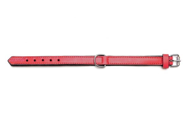 Collar piel acolchado para perros de la marca Gloria  55 cms y con 25 mm. Rojo - Imagen 2