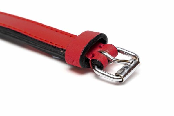 Collar piel acolchado para perros de la marca Gloria  55 cms y con 25 mm. Rojo - Imagen 4