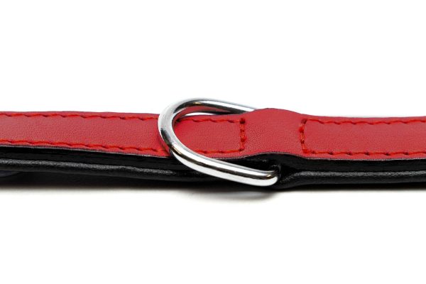 Collar piel acolchado para perros de la marca Gloria  55 cms y con 25 mm. Rojo - Imagen 5