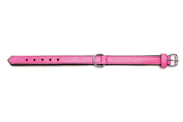 Collar piel acolchado para perros de la marca Gloria  55 cms y con 25 mm. Rosa - Imagen 2