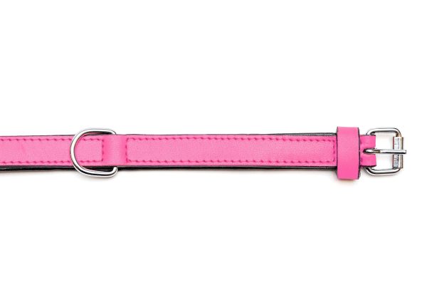Collar piel acolchado para perros de la marca Gloria  55 cms y con 25 mm. Rosa - Imagen 3