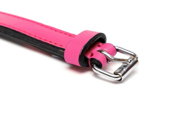 Collar piel acolchado para perros de la marca Gloria  55 cms y con 25 mm. Rosa - Imagen 4
