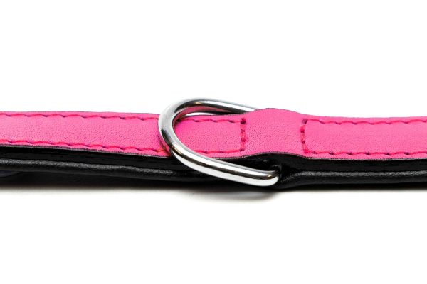 Collar piel acolchado para perros de la marca Gloria  55 cms y con 25 mm. Rosa - Imagen 5