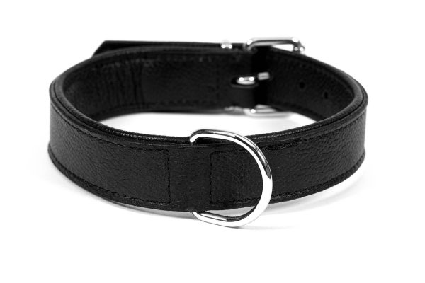 Collar piel Drymilled para perros de la marca Gloria  30 cms y con 15 mm.