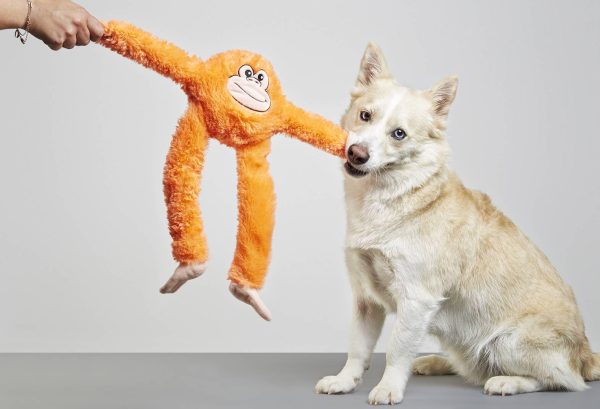 Mini Kika, peluche para perros de la marca Gloria - Imagen 3
