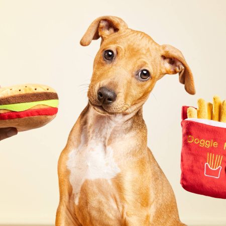 Gloriafries, peluche para perros para perros de la marca Gloria