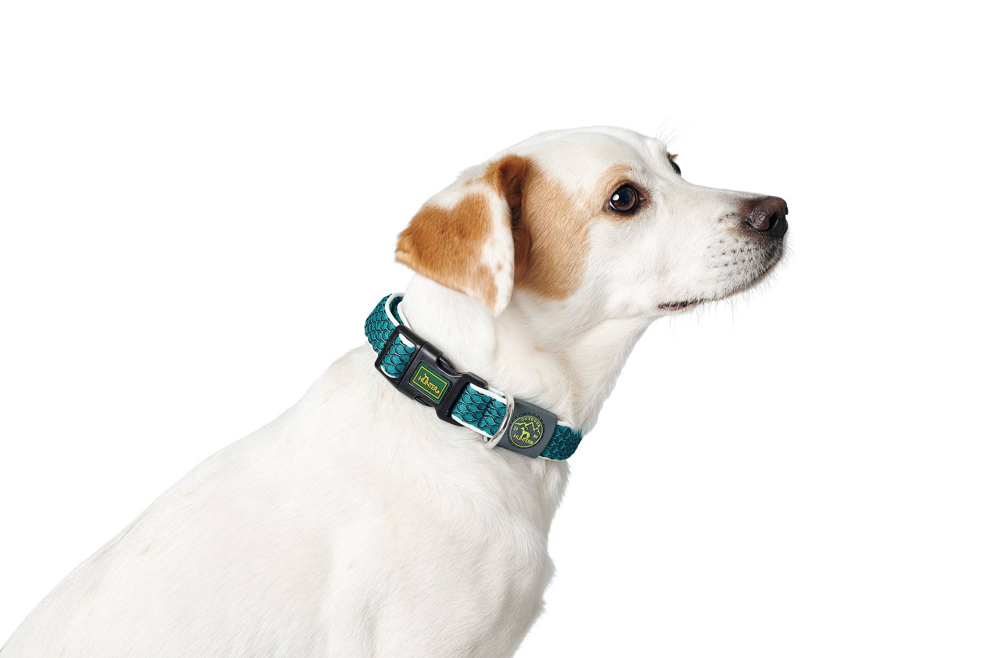 Collar modelo Hilo Vario Basic M Cuello 33-50 cm Rojo de la marca Hunter