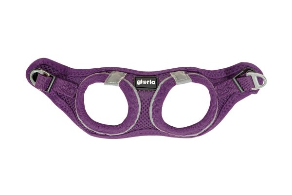 Arnés / Vestido Air Mesh Trek Star para perros de la marca Gloria