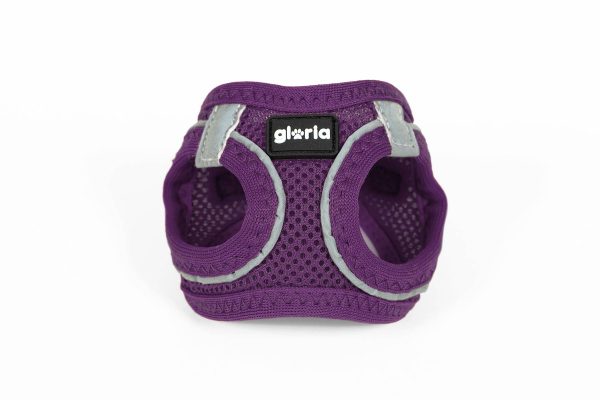 Arnés / Vestido Air Mesh Trek Star para perros de la marca Gloria - Imagen 2
